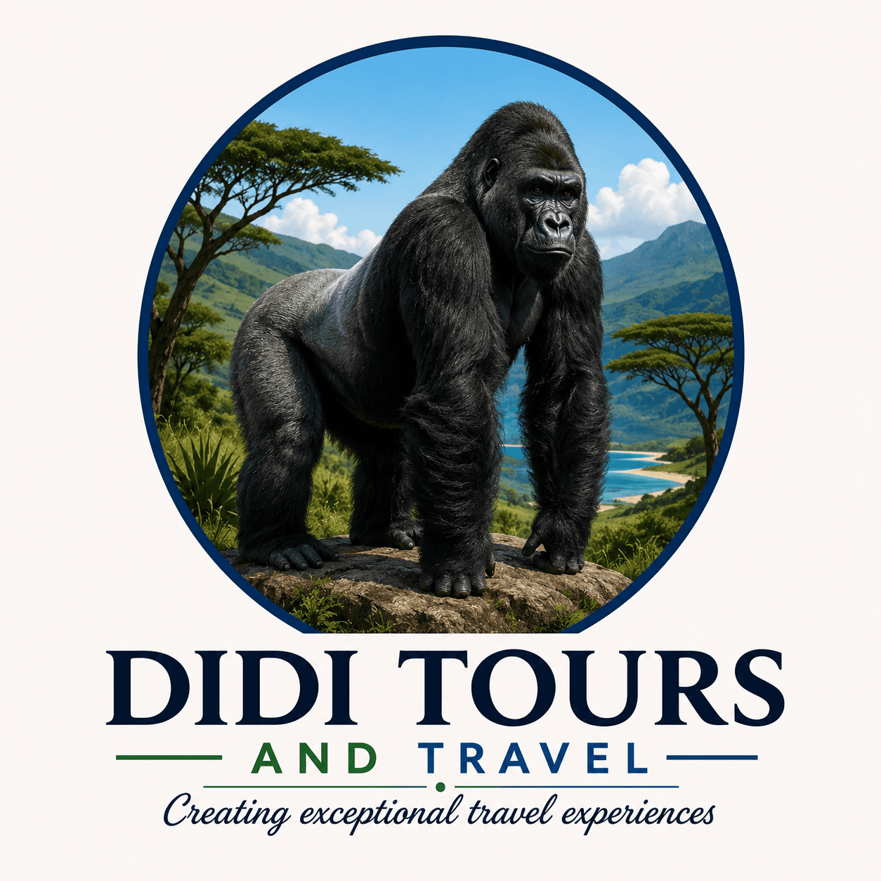 DIDI TOURS AND TRAVEL logo